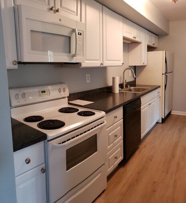 updated kitchen - 199 Michele Way
