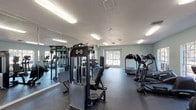 This fitness center offers a comprehensive workout environment housed within a single-level space designed to accommodate a wide range of exercise needs. The interior is finished with soft blue-green walls, a textured ceiling, and durable dark rubber flooring throughout, creating a clean and functional atmosphere conducive to focused training.

Natural light enters the space through multiple windows positioned along the walls, providing views of the surrounding outdoor greenery. A set of glass-paned double doors offers direct exterior access, further enhancing the open feel of the room. Floor-to-ceiling mirrors line a significant portion of the wall space, visually expanding the room while allowing users to monitor their form during workouts.

The cardio section is well-stocked with treadmills, elliptical trainers, and stationary upright bikes, all positioned to take advantage of the natural light and outdoor views. The strength training area features a cable machine, a leg press, and additional selectorized equipment, alongside a dedicated free weight station with a tiered dumbbell rack and medicine balls. Overhead fluorescent lighting ensures consistent illumination throughout all areas of the space, making it suitable for use at any time of day.