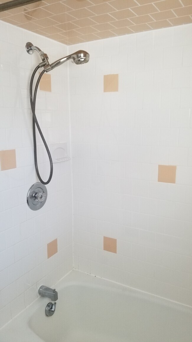 shower - 98 Gloucester St