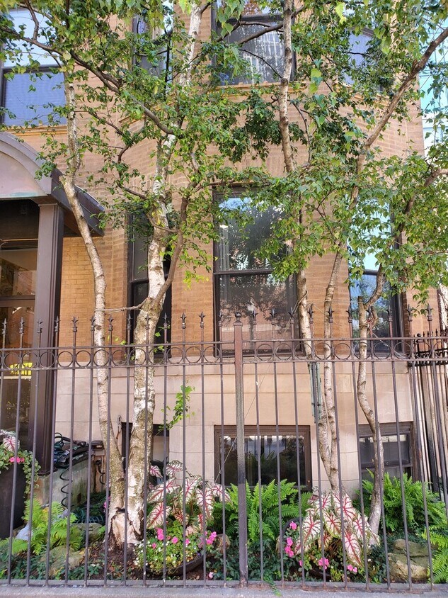 Foto principal - 11 E Division St