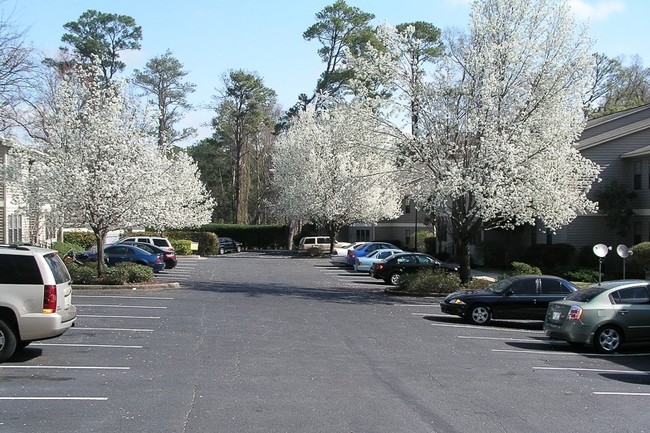 Parking Area - Vista Pointe Apartments