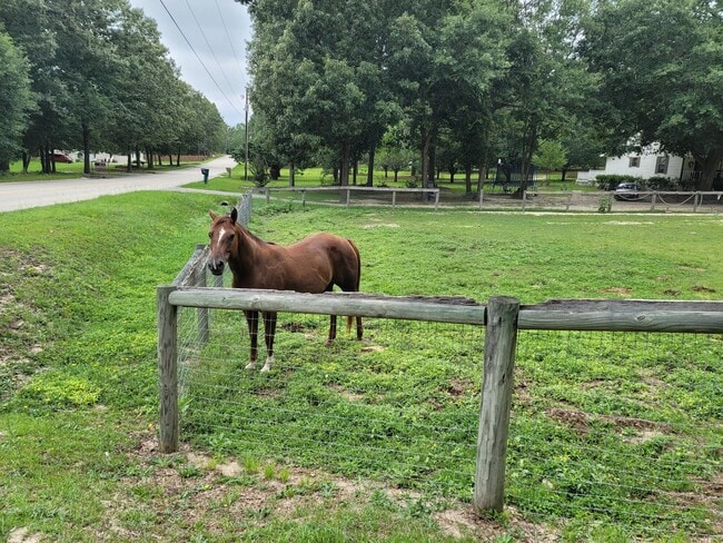 Building Photo - 331 Glenwood Dr