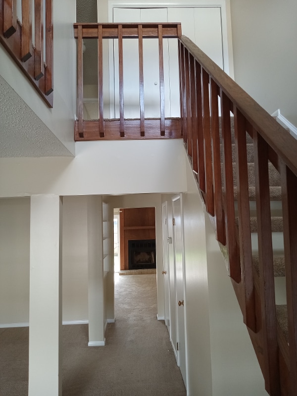 Foto del edificio - 3631 Chimney Creek Dr