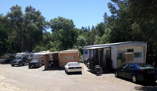 Primary Photo - Sutter Pines