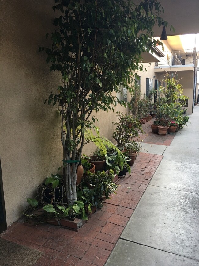 Entrance to courtyard - 1518 Franklin St