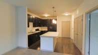 This single-floor space showcases a thoughtfully designed open-concept layout where the kitchen flows seamlessly into the living area. The kitchen is a standout feature, outfitted with bold, dark espresso cabinetry that extends to the ceiling, providing generous storage throughout. Black appliances, including a refrigerator, stove, and dishwasher, complement the cabinetry and contribute to a cohesive, contemporary aesthetic. A white-topped kitchen island anchors the space and serves as a natural dividing point between the kitchen and the adjoining living area, offering additional prep and gathering space. Pendant lighting hangs above the island, adding a decorative focal point and warm ambient light. The kitchen also includes a sink positioned along the cabinetry wall. Flooring transitions from dark hardwood-style material in the kitchen and entry zone to carpeting in the living area, subtly defining each functional zone. The entryway is clearly defined near the front door, which is framed with clean, neutral-toned trim consistent throughout the space. Recessed and flush-mount ceiling lighting ensures even illumination across the unit, while the light-colored walls create a bright, welcoming atmosphere throughout.