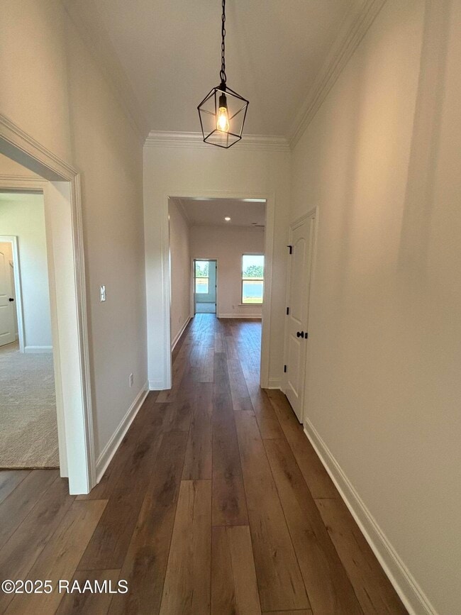 Building Photo - 206 Yellowfin Ln