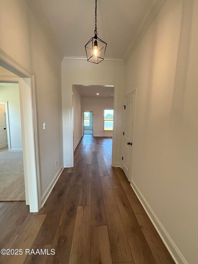 Foto del edificio - 206 Yellowfin Ln