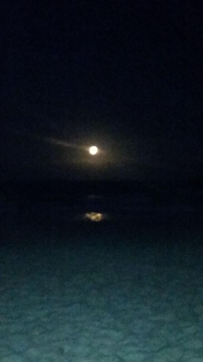 Full moon rising - 3060 N Atlantic Ave