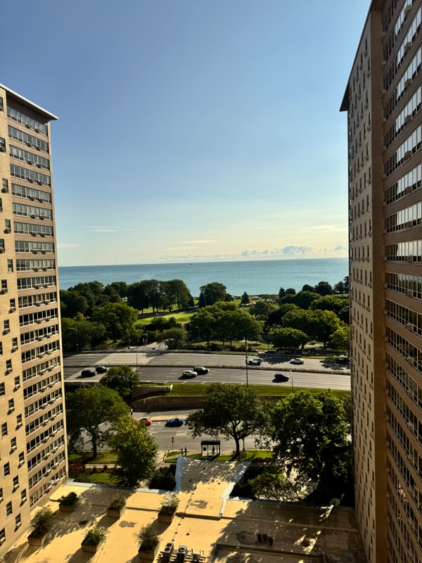 Building Photo - 3950 N Lake Shore Dr