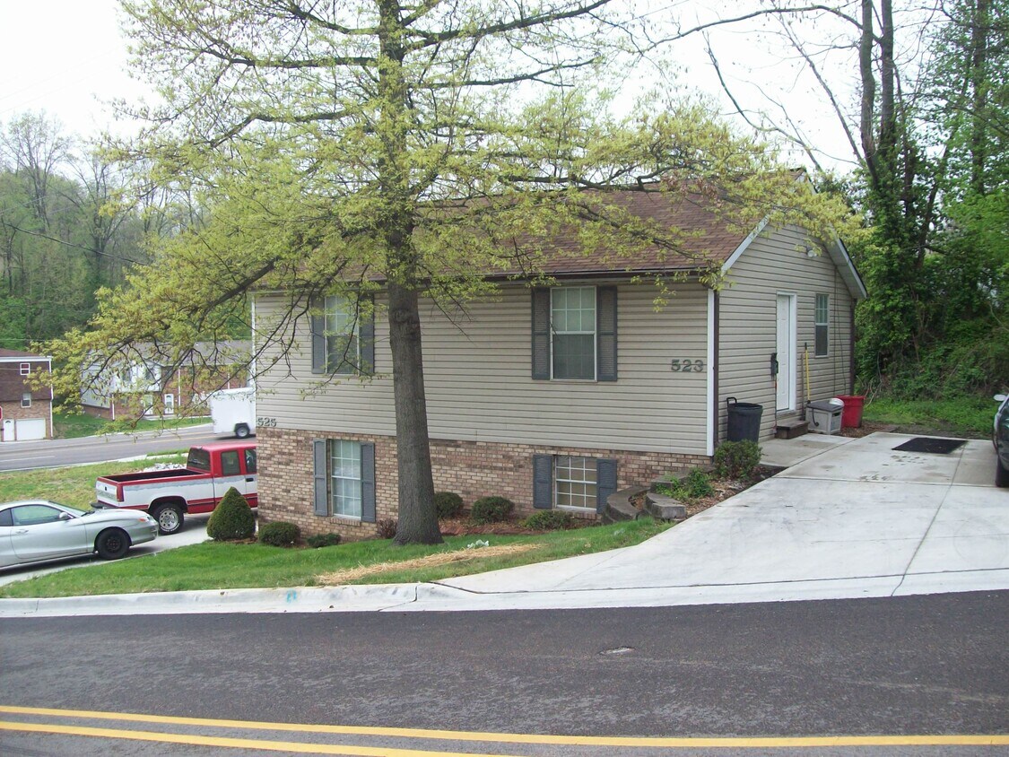 Primary Photo - 523 S Chestnut St