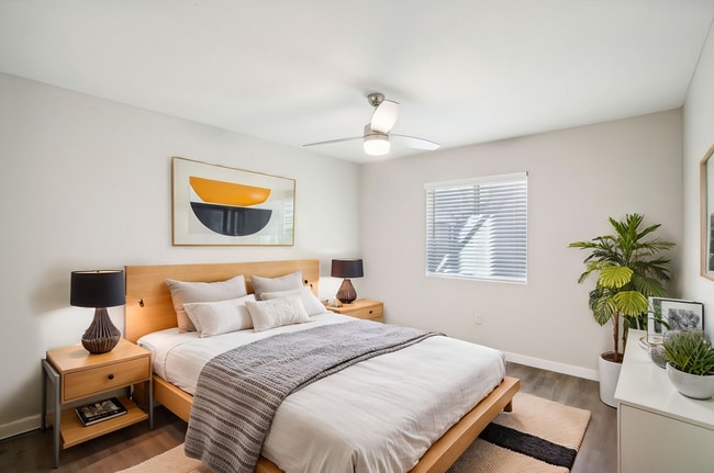 Interior Photo - Welcome to Casa Presidio!