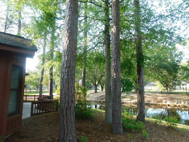Foto del edificio - 120 Juneberry Ln