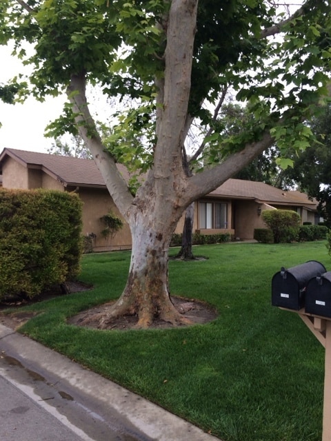 Primary Photo - Leisure Village 55+ Gated Community