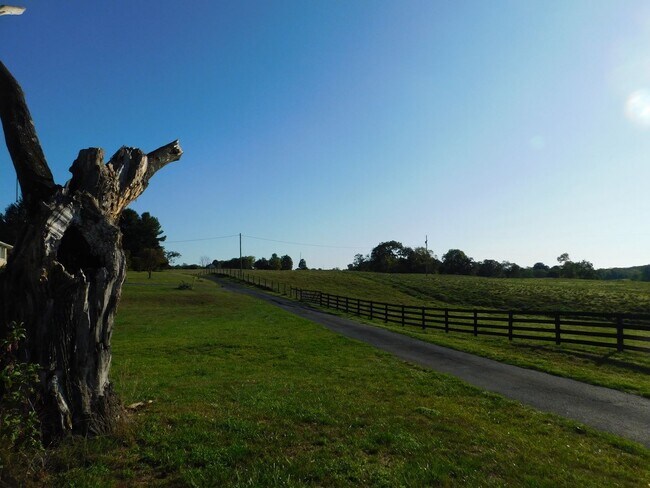 Building Photo - Pastoral views, peace and privacy!!