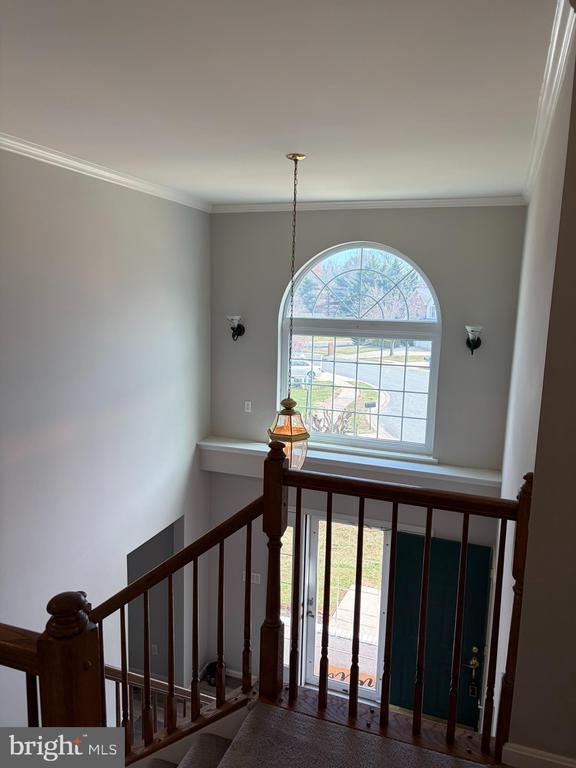 Foto del edificio - 506 Summervale Ct