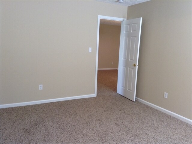 Building Photo - 2926 Limber Pine Dr