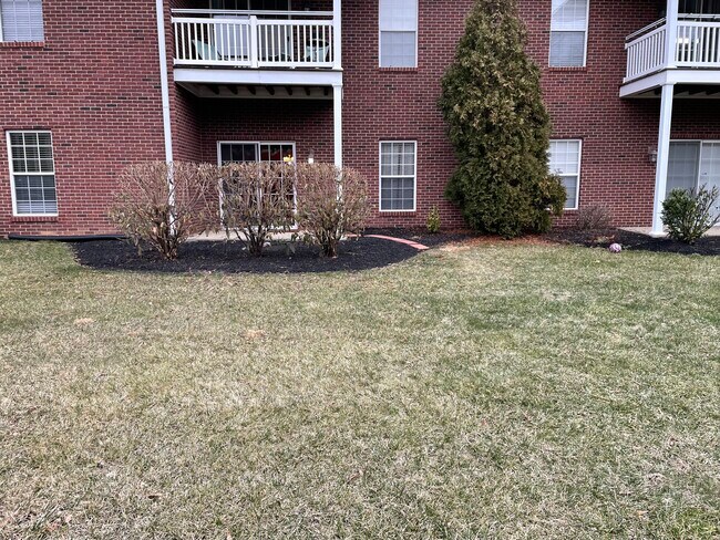 Foto del edificio - 9604 Preston Spring Dr