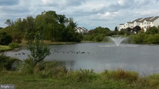 Foto del edificio - 22763 Oatlands Grove Pl