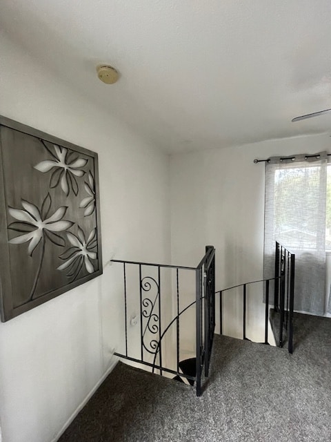 Foto del edificio - 40828 Goldside Dr