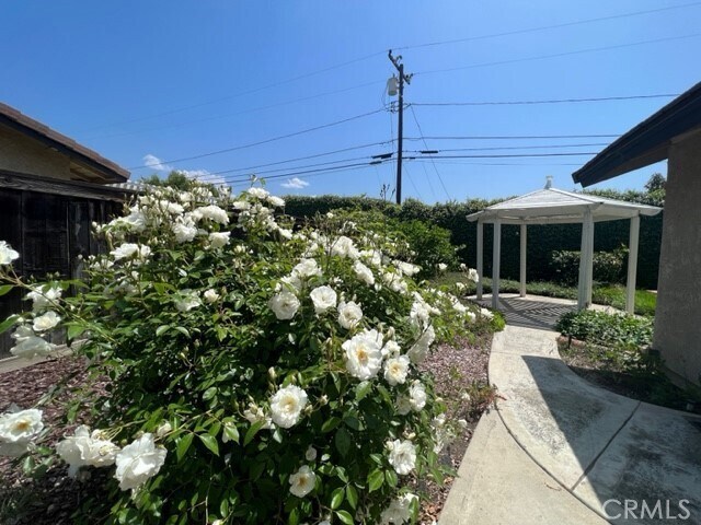 Foto del edificio - 948 Sandstone Dr