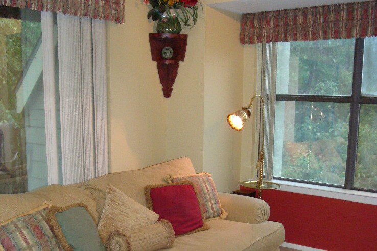 Sleeper sofa and coffee chest - 1135 Barton Hills Dr