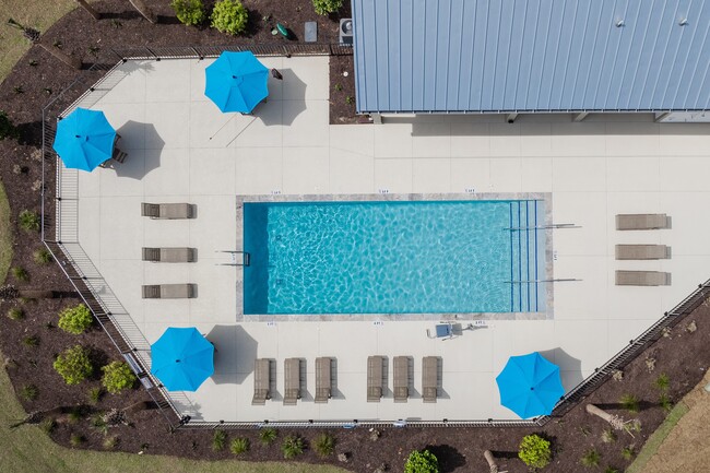 Piscina comunitaria - Haven at Wild Wing