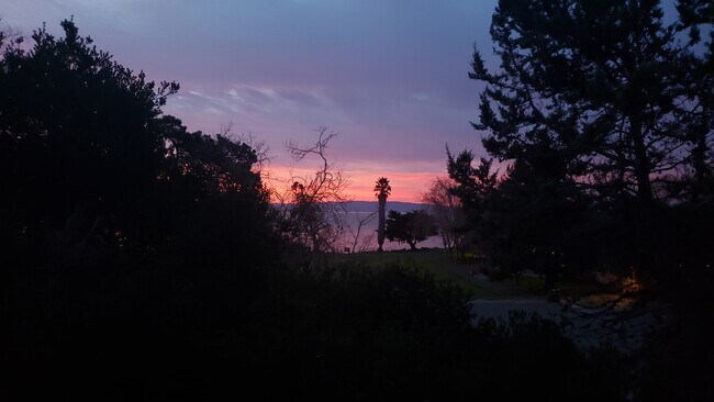 Deck View - 1321 Webster St
