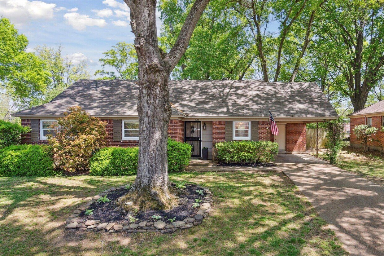 Primary Photo - 336 McElroy Rd