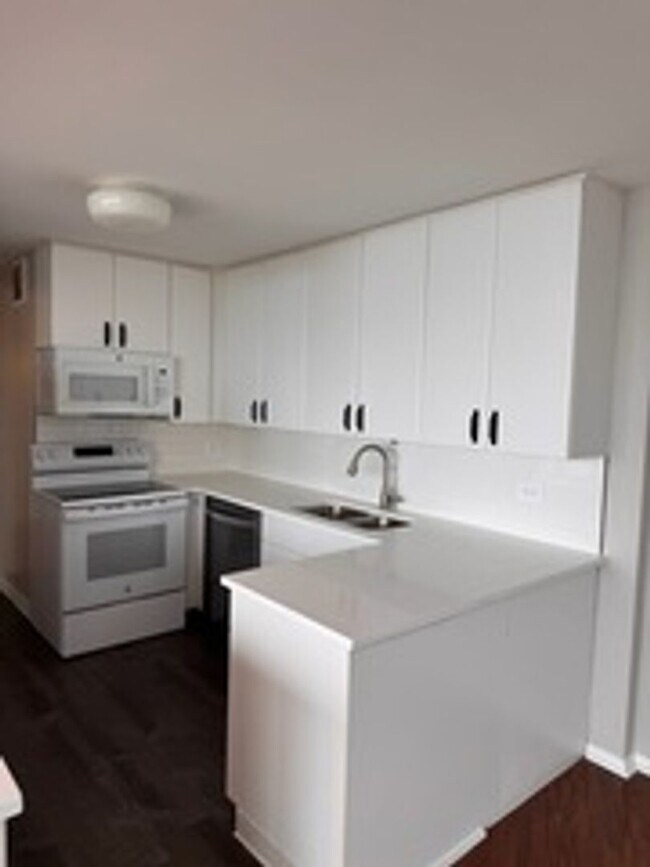 Foto del edificio - 505 N Lake Shore Dr