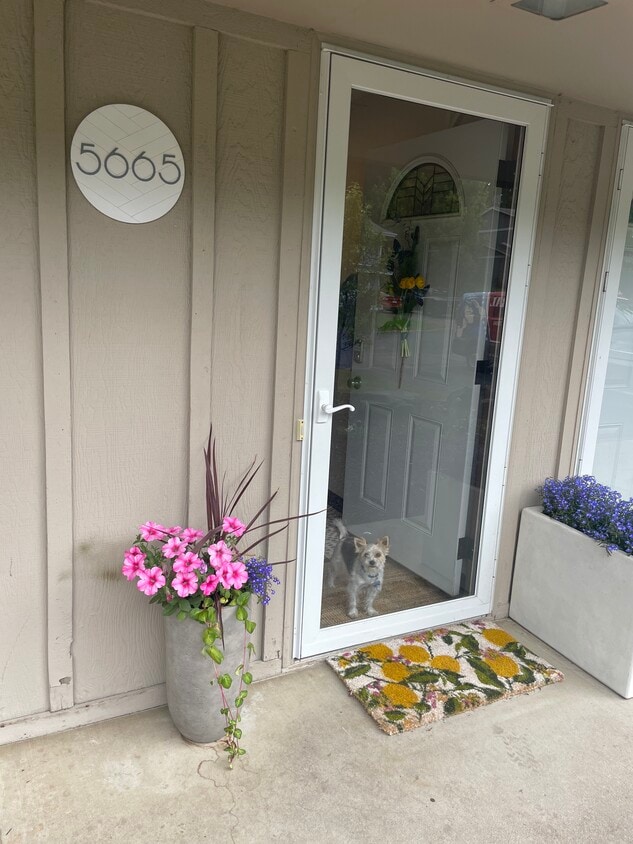 Main Entrance - 5665 Wood Duck Cir