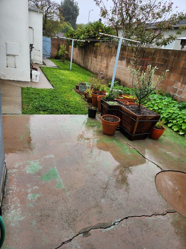 Foto del edificio - 12019 Ocean Park Blvd