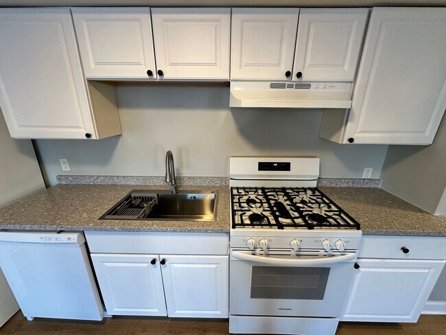 Foto del edificio - Updated 5-BR, 2-BA Apartment by the U of M Available!