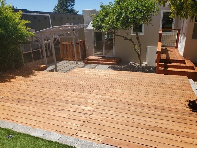 Backyard - 547 Santa Clara Ave