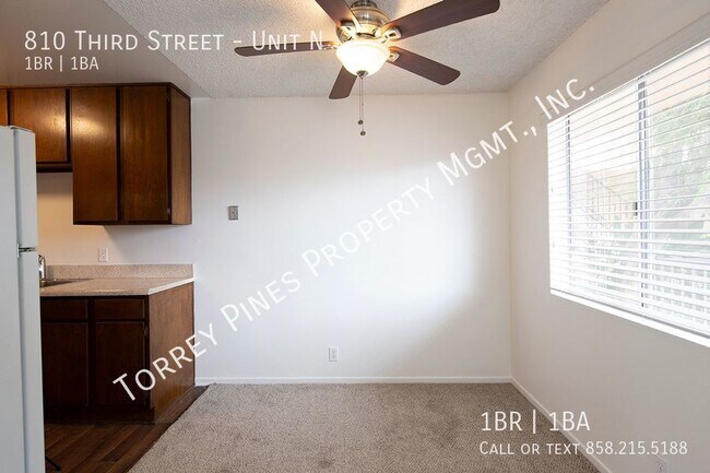 Building Photo - 1 Bedroom in Amazing Beach Location with O...