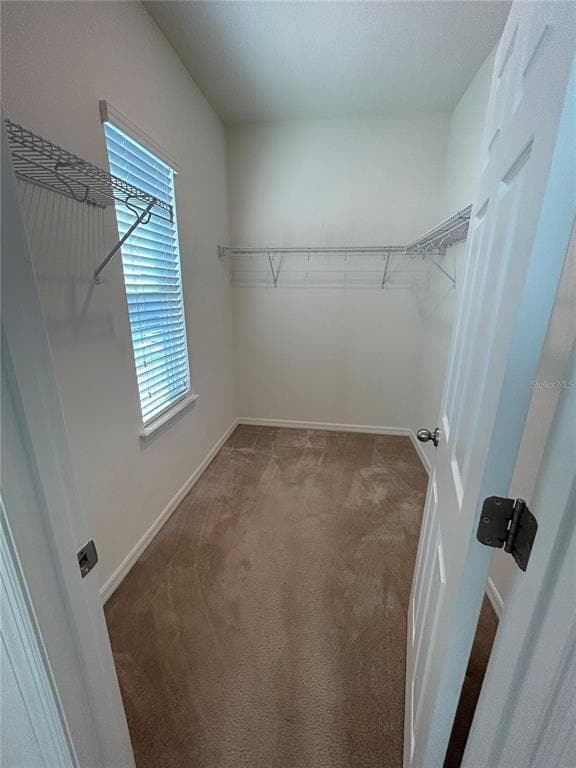 Building Photo - 9349 Tyrella Pine Trail