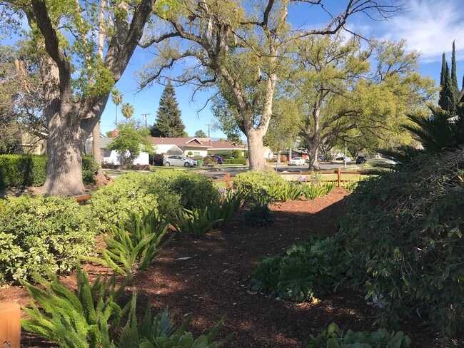 Tree-Lined Street - 14656 Morrison St