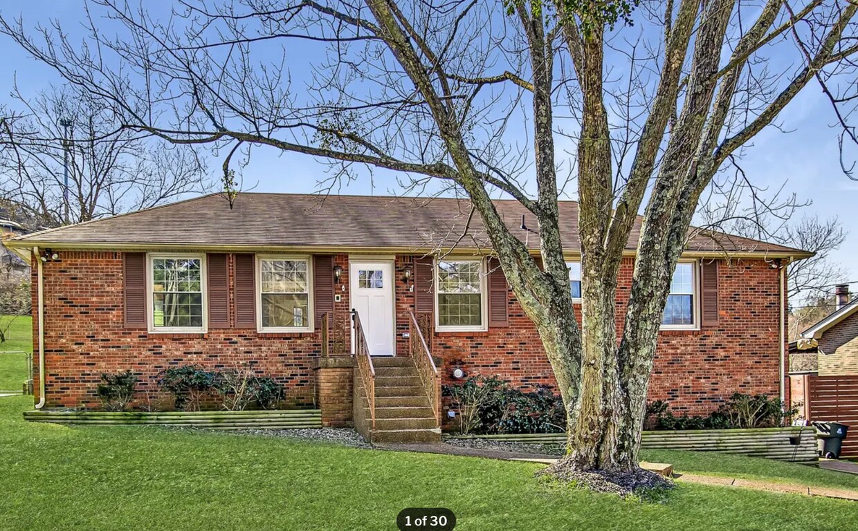 Primary Photo - 513 Amalie Ct