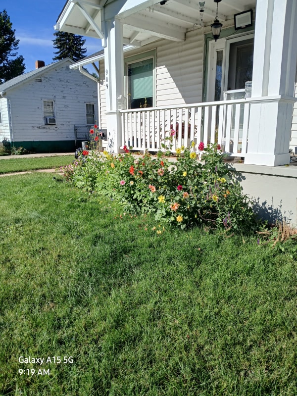 Photo - 909 Collyer St (Longmont, CO)