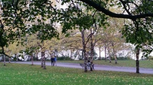 Building Photo - Aladdin Apartments - Studio