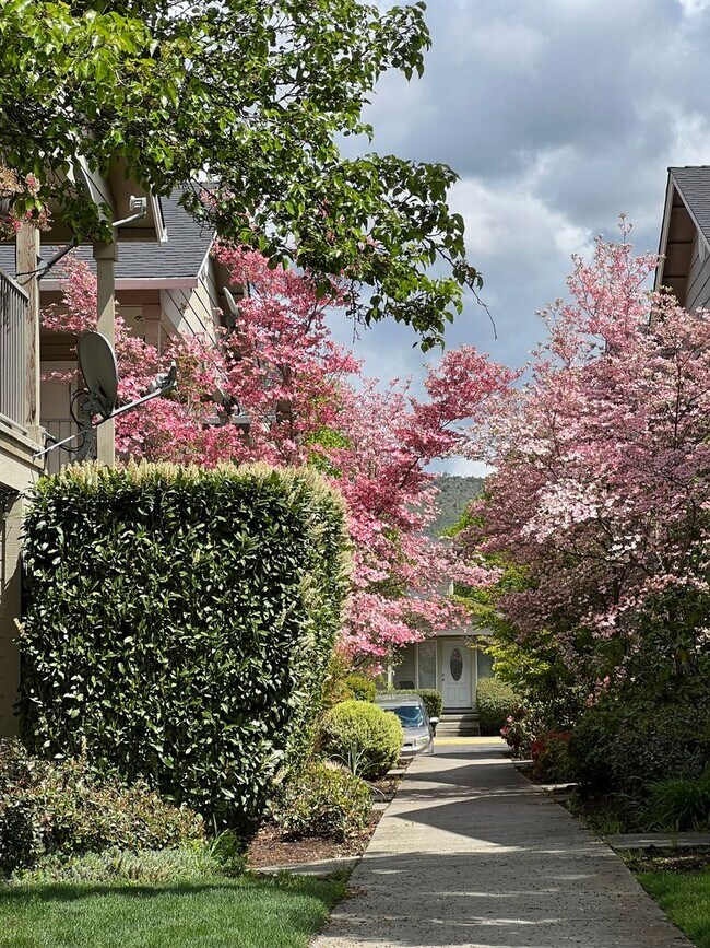 Foto del edificio - 3163 Juniper Ridge Dr