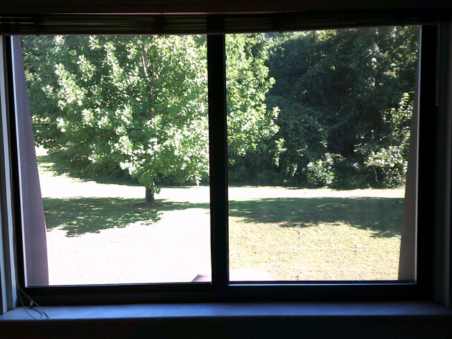 Foto del edificio - 5177 Green Trace Ln