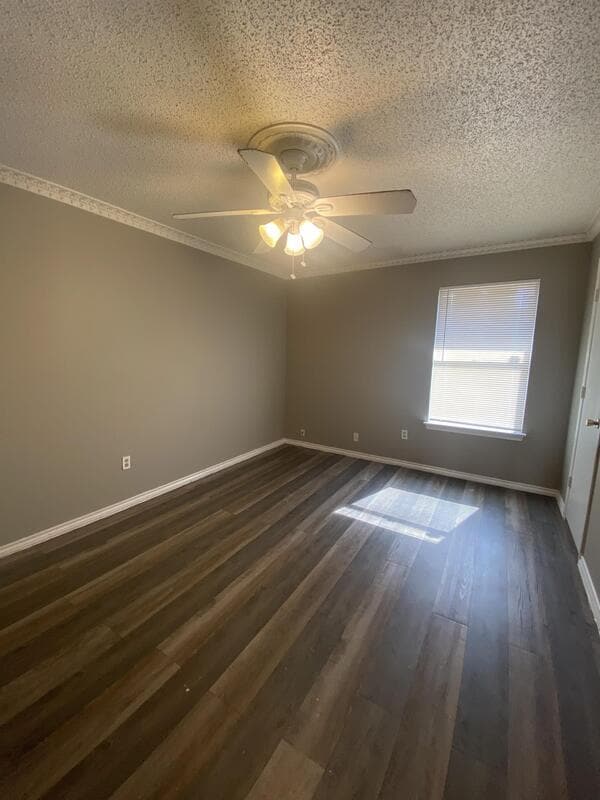 Building Photo - 2406 Kingsford Ct