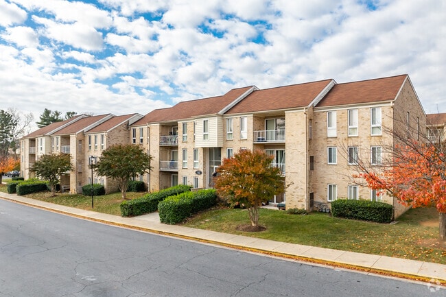 Terraza Elmwood - The Apartments at Elmwood Terrace