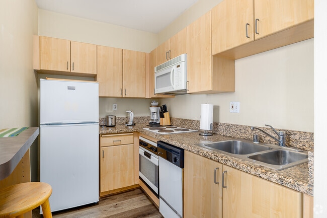 Estudio - 400 pies cuadrados - Cocina - Breeze Suites Moderne