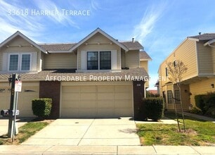 33618 Harrier Terrace