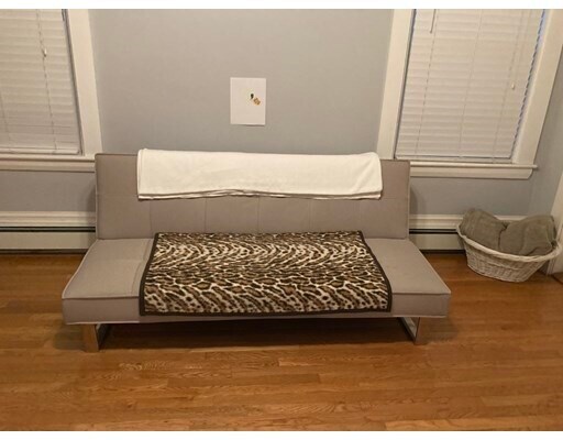 Foto del edificio - 17 Shamrock St