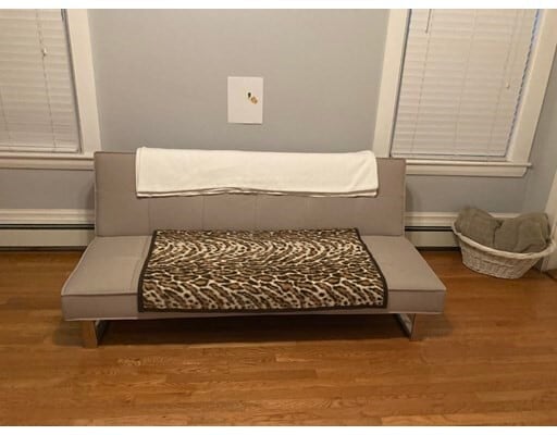 Building Photo - 17 Shamrock St