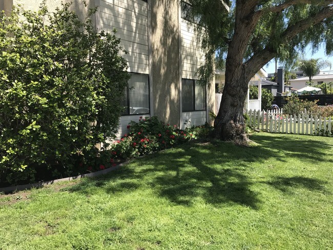 Building Photo - 2320 Penmar Ave