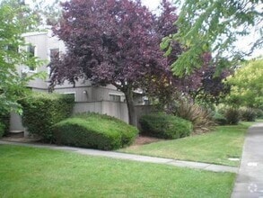 Building Photo - 2035 Mount Olive Dr